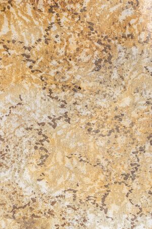 light brown lining with black spots .texture.の写真素材