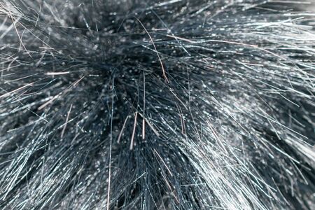 cat fur black color. background and textureの写真素材