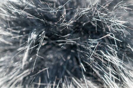 cat fur black color. background and textureの写真素材