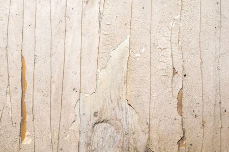 old board painted with white paint.の写真素材