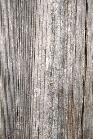 old gray planks texture or backgroundの写真素材