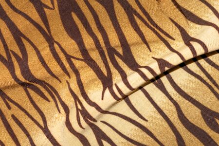 fabric with the pattern of a Bengal tigerの写真素材