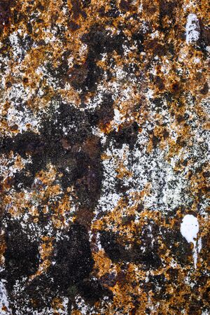 old rusting steel sheet painted with white paintの写真素材