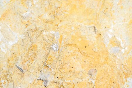 limestone texture usable as texture or background.の写真素材