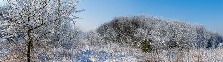 White winter landscape in the fields on a beautiful sunny dayの写真素材