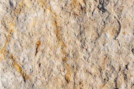 limestone texture usable as texture or background.の写真素材