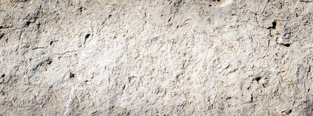 limestone texture usable as texture or background.の写真素材