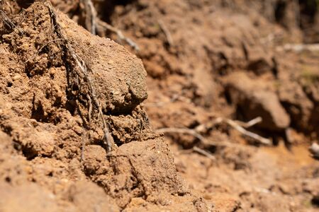 red sandstone with visible details. texture or backgroundの写真素材