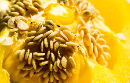 Yellow pepper seeds with visible details. texture or backgroundの写真素材