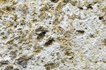 limestone texture usable as texture or background.の写真素材