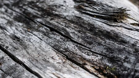 old cracked wood with visible details. texturaの写真素材