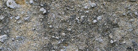 texture of old light plasterの写真素材