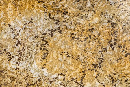 light brown lining with black spots .texture.の写真素材