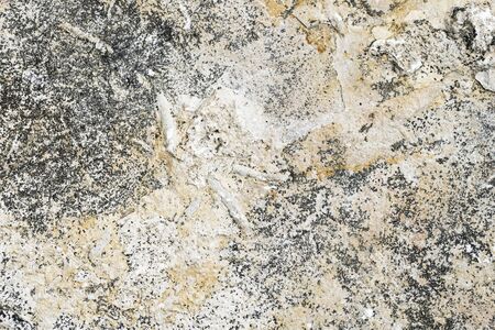 light limestone with interesting texture visible. backgroundの写真素材