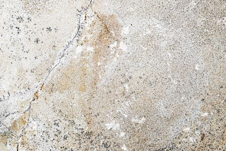 light limestone with interesting texture visible. backgroundの写真素材