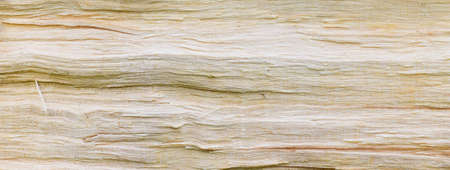 close up of wooden stumpの写真素材