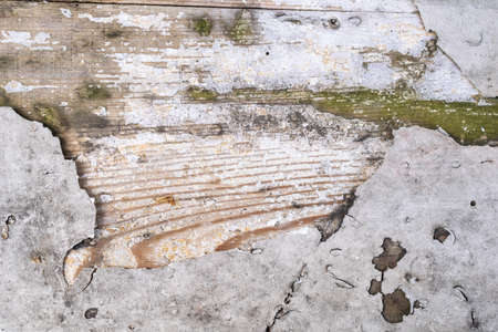 old board painted with white paint.の写真素材