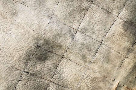gray artificial leather. texture or backgroundの写真素材