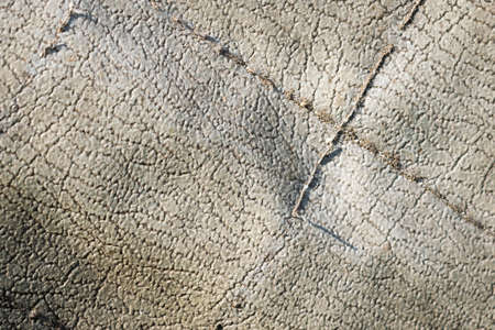 gray artificial leather. texture or backgroundの写真素材
