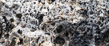 limestone texture usable as texture or background.