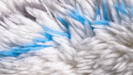 white and blue mop for washingの写真素材