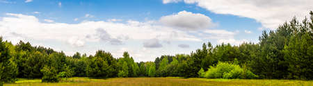 clearing in the forest on a beautiful sunny dayの写真素材