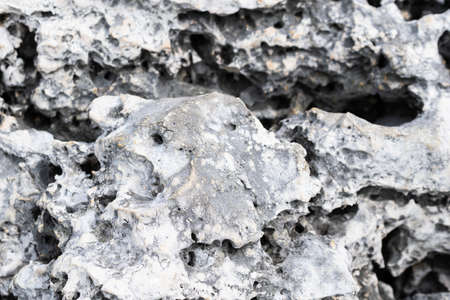 light limestone with interesting texture visible. backgroundの写真素材