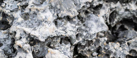 light limestone with interesting texture visible. backgroundの写真素材