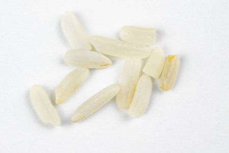 macro photo of white rice grains on a white backgroundの写真素材
