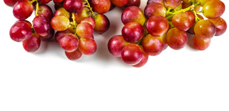 pink grapes macro photo on a white backgroundの写真素材