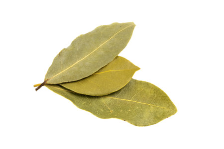 bay leaves on a white backgroundの写真素材