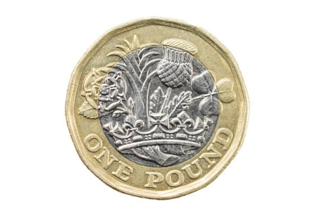 one pound coin on a white background