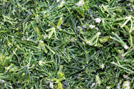 sliced and frozen green dill. texture or background