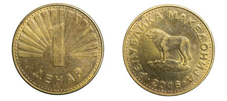 one macedonian denar coin isolated on white backgroundの写真素材