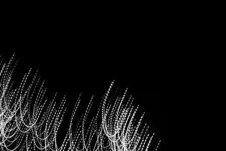 white dashed lines of lights on a black backgroundの写真素材