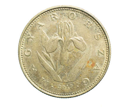 twenty Hungarian forint coin isolated on white backgroundの写真素材