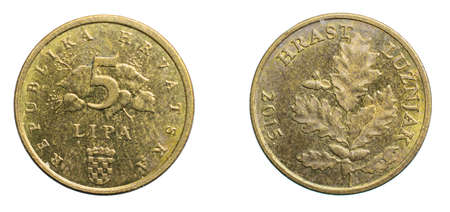 five croatian lipa coin isolated on white backgroundの写真素材