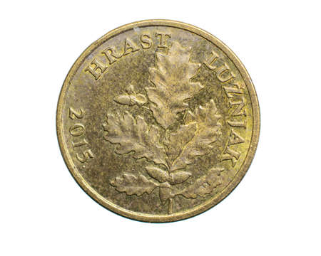 five croatian lipa coin isolated on white backgroundの写真素材