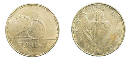 twenty Hungarian forint coin isolated on white backgroundの写真素材