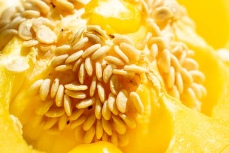 macro photo of yellow pepper seeds. backgroundの写真素材
