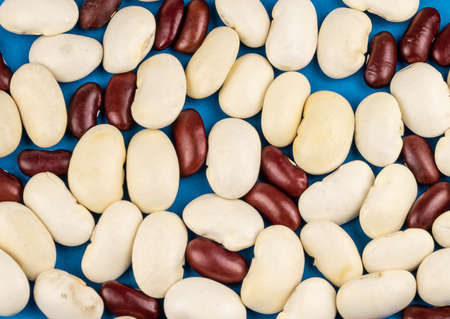 white and red beans on a blue backgroundの写真素材