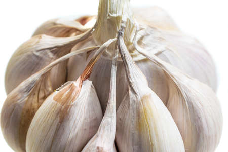 macro photo of garlic on a white isolated backgroundの写真素材