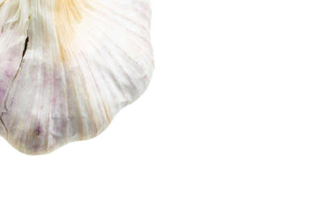 macro photo of garlic on a white isolated backgroundの写真素材