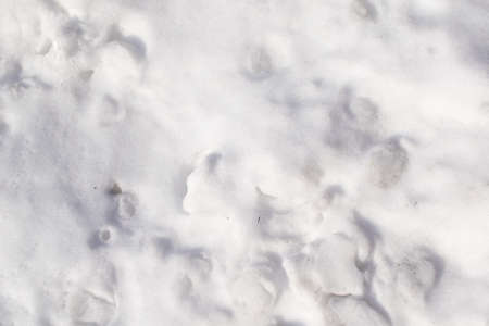 white snow in visible detail. background or textureの写真素材