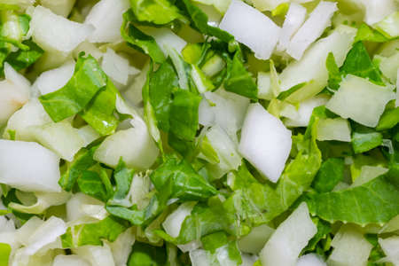 chopped cabbage into small cubes. background or textureの写真素材