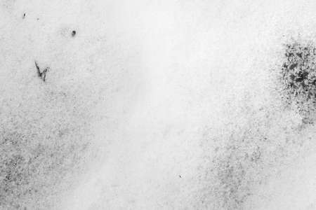 white snow with clear details. background or texturaの写真素材