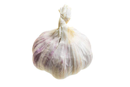 macro photo of garlic on a white isolated backgroundの写真素材