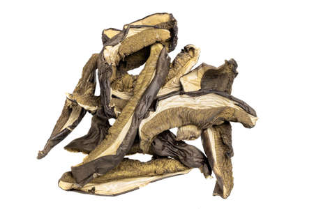 dried mushrooms on a white isolated backgroundの写真素材