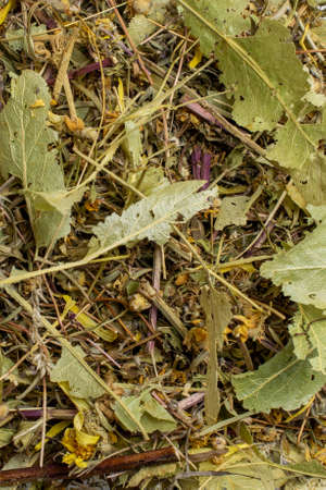 herbal mixture macro shot. texture or backgroundの写真素材