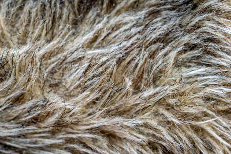 black and brown dog fur. background or textureの写真素材
